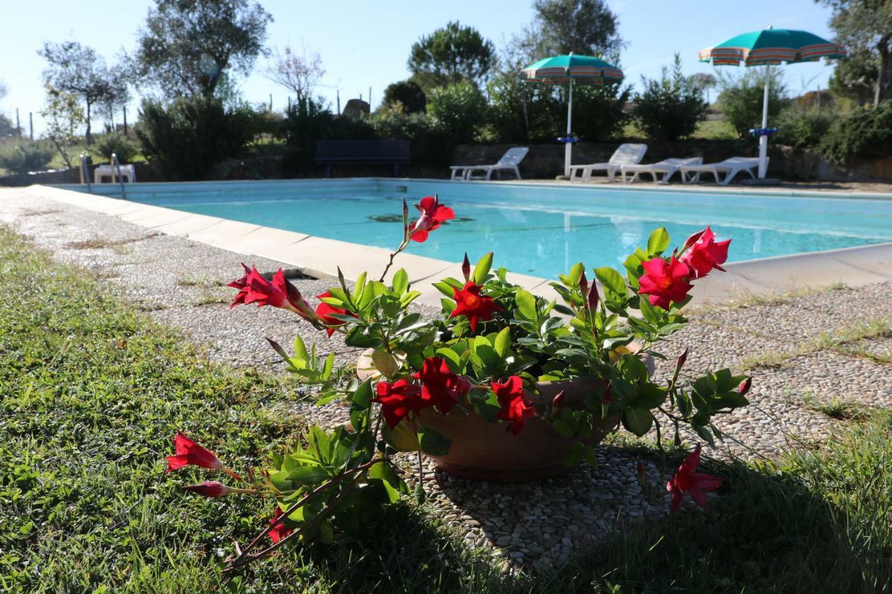 Agriturismo Tinti 蒙蒂亚诺 外观 照片