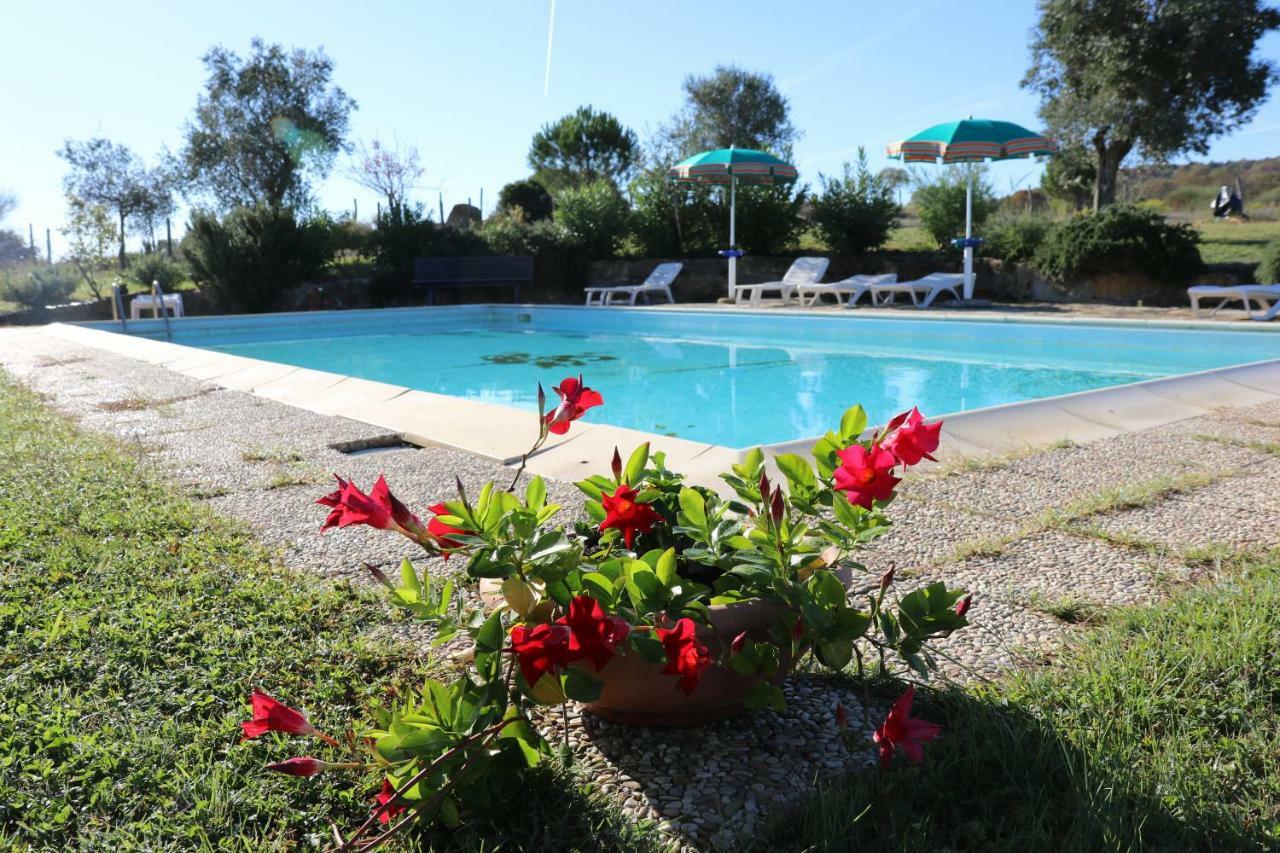 Agriturismo Tinti 蒙蒂亚诺 外观 照片
